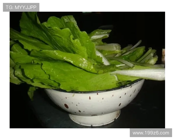 全面解析白菜网大全论坛的资源与交流平台